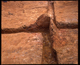 FileNo.152-024.jpg