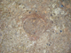 FileNo.152-027.jpg