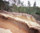 FileNo.152-028.jpg