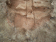 FileNo.152-033.jpg