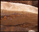 FileNo.152-035.jpg