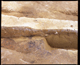 FileNo.152-036.jpg