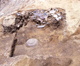 FileNo.152-040.jpg