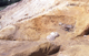 FileNo.152-041.jpg