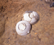 FileNo.152-042.jpg