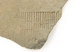 FileNo.152-053.jpg