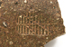 FileNo.152-060.jpg