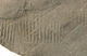 FileNo.152-066.jpg
