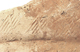 FileNo.152-067.jpg