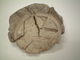 FileNo.152-069.jpg