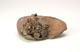 FileNo.152-076.jpg