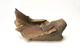 FileNo.152-086.jpg