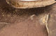 FileNo.152-087.jpg