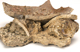FileNo.152-095.jpg