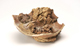 FileNo.152-096.jpg