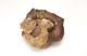 FileNo.152-097.jpg