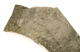 FileNo.152-098.jpg