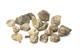 FileNo.152-159.jpg