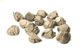 FileNo.152-160.jpg