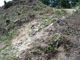FileNo.152-017.jpg