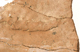 FileNo.152-049.jpg