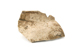 FileNo.152-186.jpg