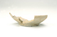 FileNo.152-194.jpg