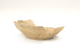 FileNo.152-195.jpg