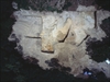 FileNo.22-161.jpg