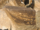 FileNo.161-006.jpg
