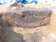 FileNo.161-014.jpg