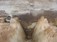FileNo.161-015.jpg