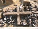 FileNo.161-022.jpg