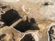 FileNo.161-023.jpg