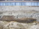 FileNo.161-024.jpg