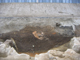 FileNo.161-025.jpg