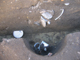 FileNo.161-026.jpg
