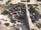 FileNo.161-028.jpg