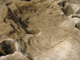 FileNo.161-029.jpg