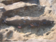 FileNo.161-032.jpg