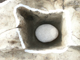 FileNo.161-040.jpg