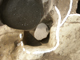FileNo.161-042.jpg