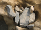 FileNo.161-043.jpg