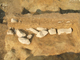 FileNo.161-048.jpg