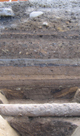 FileNo.161-054.jpg