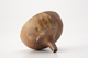 FileNo.161-226.jpg