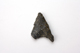 FileNo.161-279.jpg