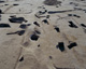 FileNo.147-003.jpg