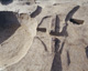 FileNo.147-021.jpg
