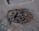 FileNo.147-052.jpg